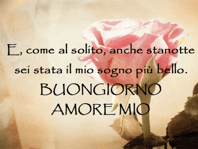 E, come al solito, anche stanotte sei stata il mio sogno più bello. Buongiorno Amore Mio.