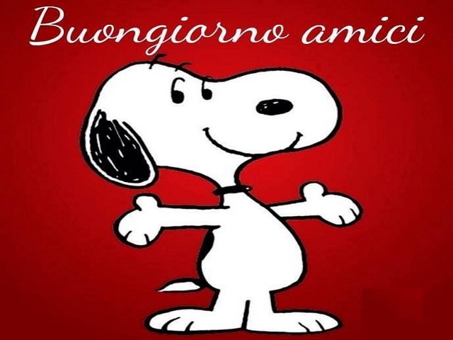 Buongiorno amici