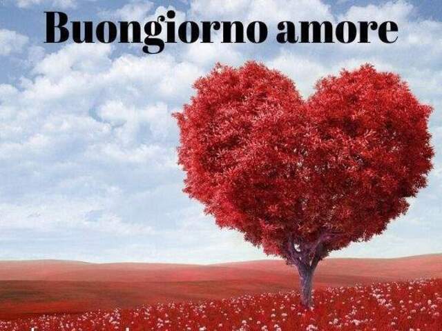 Buongiorno amore