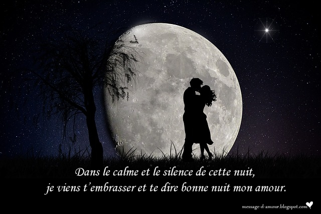 Dans le calme et le silence de cette nuit, je viens t'embrasser et te dire bonne nuit mon amour (nella pace e nel silenzio di questa notte, vengo ad abbracciarti e a dirti buonanotte amore mio).