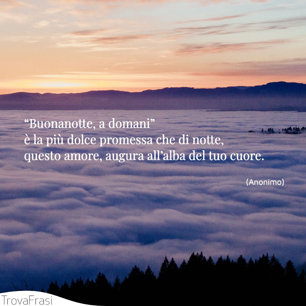 "Buonanotte,a domani" è la più dolce promessa che di notte, questo amore, augura all'alba del tuo cuore.