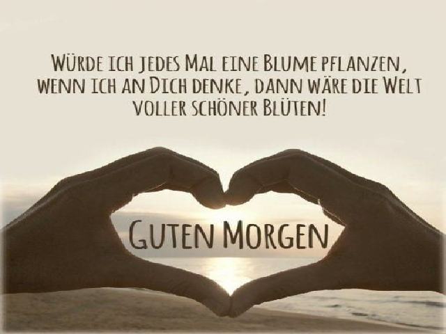 Wurde ich jedes mal eine blume pflanzen, wenn ich an dich denke, dann ware die welt voller schoner bluten! Guten Morgen (Vorrei piantare un fiore ogni volta che penso a te... così il mondo sarebbe pieno di bellissimi fiori! Buongiorno)