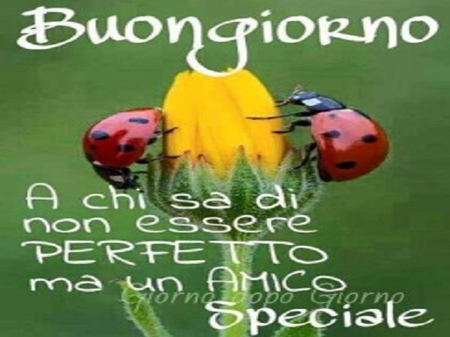 Buongiorno a chi sa di non essere perfetto, ma un amico speciale