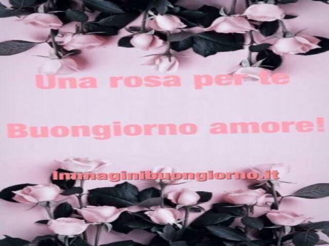 Una rosa per te. Buongiorno amore!