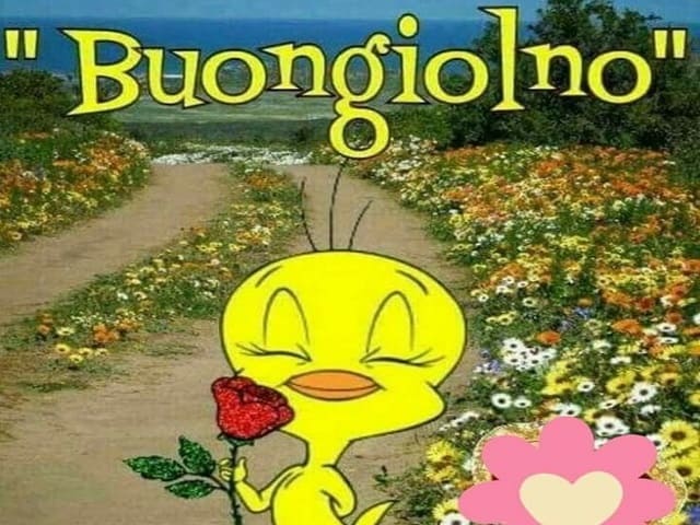 "Buongiolno"