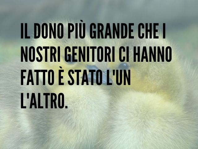 Il dono più grande che i nostri genitori ci hanno fatto è stato l'un l'altro.