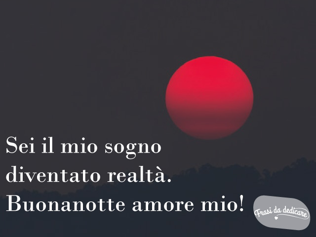 Sei il mio sogno diventato realtà..Buonanotte amore mio!