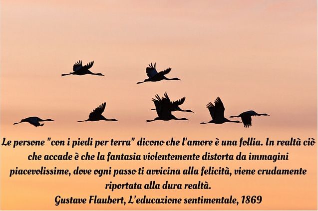 Le persone con i piedi per terra dicono che l'amore è una follia. In realtà ciò che accade è che la fantasia violentemente distorta da immagini piacevolissime, dove ogni passo ti avvicina alla felicità, viene crudamente alla dura realtà.