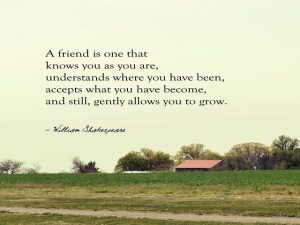 A friend is one that knows you as you are, understands where you have been, accepts what you have become, and still, gently allows you to grow.(Un amico è uno che ti conosce come sei, capisce dove sei stato, accetta ciò che sei diventato e, tuttavia, ti c