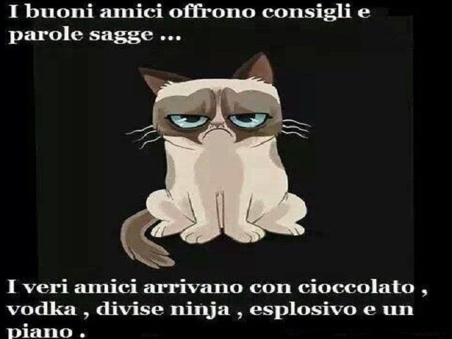 I buoni amici ti offrono consigli e parole sagge... I veri amici arrivano con cioccolato, vodka, divise ninja, esplosivo e un piano.