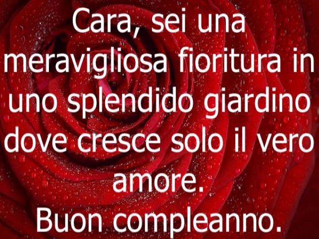 Cara sei una meravigliosa fioritura in uno splendido giardino dove cresce solo il vero amore. Buon compleanno.
