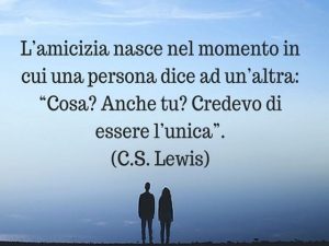 L'amicizia nesce nel momento in cui una persona dice ad un'altra: "Cosa? Anche tu? Credevo di essere l'unica".(C. S. Lewis)