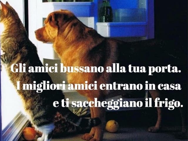 Gli amici bussano alla tua porta. I migliori amici entrano in casa e ti saccheggiano il frigo.