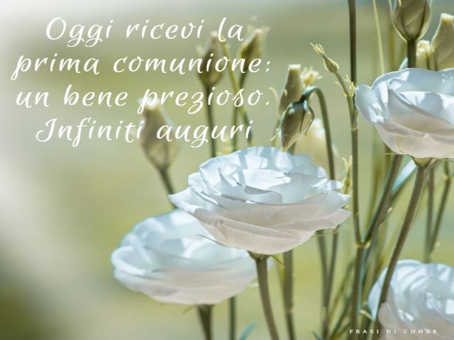 Oggi ricevi la Prima Comunione: un bene prezioso.Infiniti auguri.