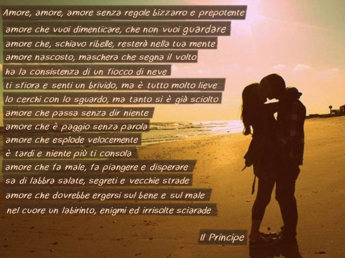 Amore, amore, amore senza regole bizzarro e prepotente amore che vuoi dimenticare, che non vuoi guardare amore che, schiavo ribelle, resterà nella tua mente amore nascosto, maschera che segna il volto ha la consistenza di un fiocco di neve ti sfiora e sen