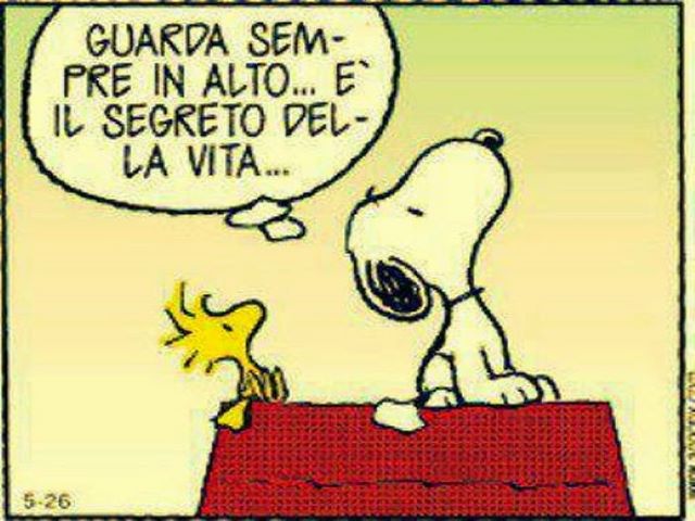 Guarda sempre in alto...è il segreto della vita.