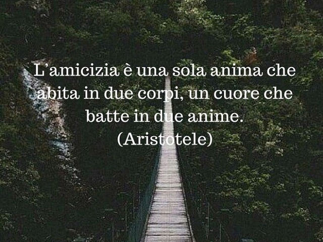 L'amicizia è una sola anima che abita in due corpi, un cuore che batte in due anime (Aristotele).