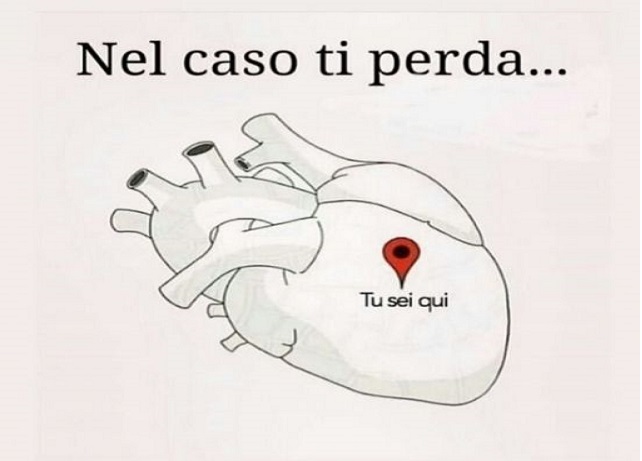 Cuore solitario