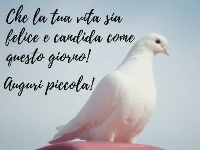 Che la tua vita sia felice e candida come questo giorno!Auguri piccola!