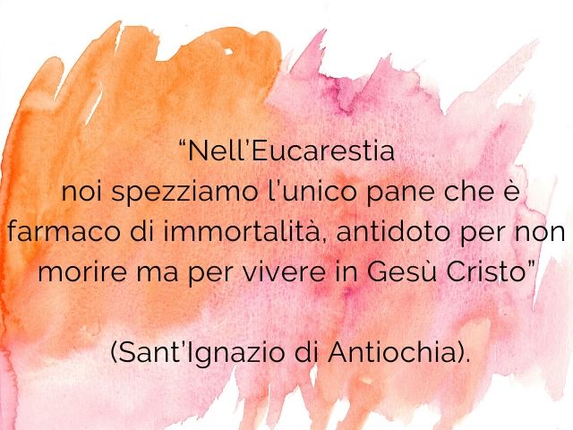 Nell'Eucarestia noi spezziamo l'unico pane che è farmaco di immortalità, antidoto per non morire ma per vivere in Gesù Cristo.(Sant'Ignazio di Antiochia)