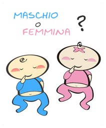 Maschio o Femmina?
