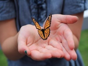 frasi sul rispetto della natura