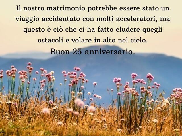 Il nostro matrimonio potrebbe essere stato un viaggio accidentato con molti acceleratori, ma questo è ciò che ci ha fatto eludere quegli ostacoli e volare in alto nel cielo. Buon 25 anniversario.
