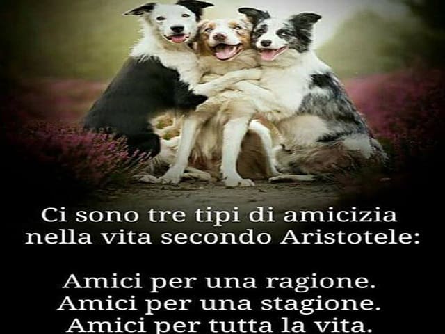 Ci sono tre tipi di amicizia nella vita secondo Aristotele: amici per una ragione, amici per una stagione, amici per tutta la vita.