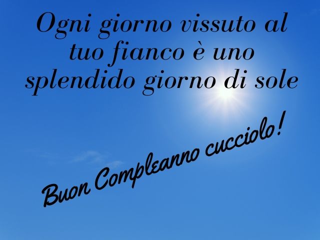 Ogni giorno vissuto al tuo fianco è uno splendido giorno di sole. Buon compleanno cucciolo!