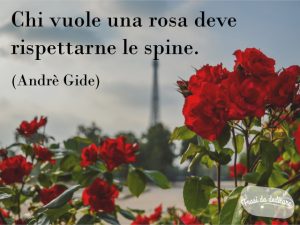 Chi vuole una rosa deve rispettarne le spine.(Andrè Gide)