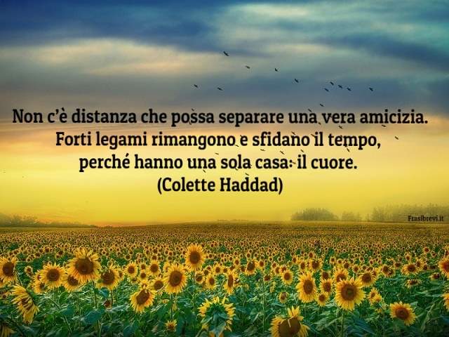 Non c'è distanza che possa separare una vera amicizia. Forti legami rimangono e sfidano il tempo, perchè hanno una sola casa: il cuore. (Colette Haddad)