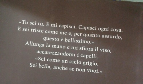 Tu sei tu. E mi capisci. Capisci ogni cosa. E sei triste come me e, per quanto assurdo, questo è bellissimo. Allunga la mano e sfiora il viso, accarezzandomi i capelli. Sei come un cielo grigio. Sei come un cielo grigio. Sei belle, anche se non vuoi.