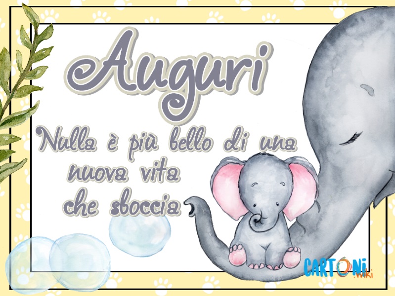 Auguri. Nulla è più bello di una nuova vita che sboccia