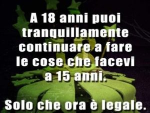 A 18 anni puoi tranquillamente continuare a fare le cose che facevi a 15 anni.Solo che ora è legale.