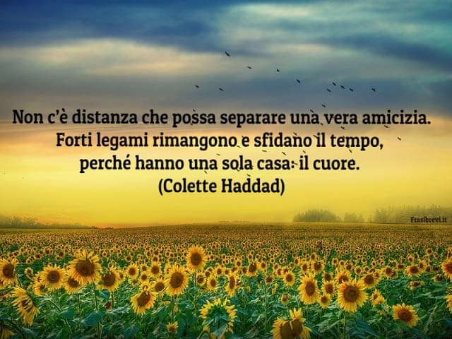 Non c'è distanza che possa separare una vera amicizia. Forti legami rimangono e sfidano il tempo, perché hanno una sola casa: il cuore. (Colette Haddad)