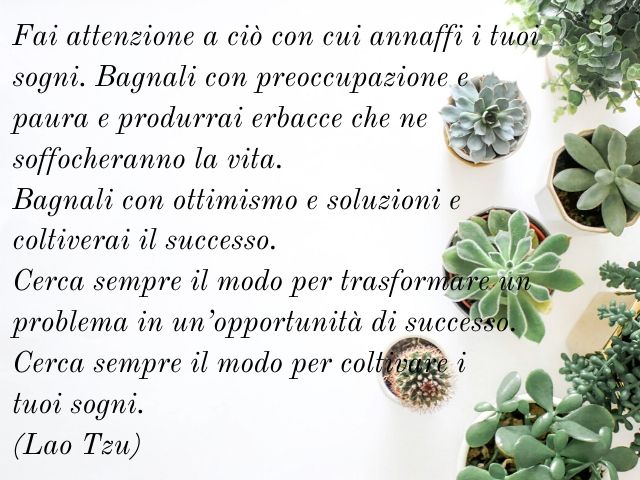 Fai attenzione a ciò con cui annaffi i tuoi sogni. Bagnali con preoccupazione e paura e produrrai erbacce che ne soffocheranno la vita. Bagnali con ottimismo e soluzioni e coltiverai il successo. Cerca sempre il modo per trasformare un problema in un'oppo