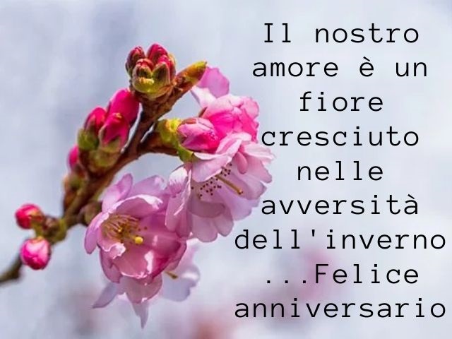 Il nostro amore è un fiore cresciuto nelle avversità dell'inverno...Felice anniversario.
