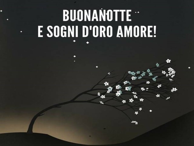 Buonanotte e sogni d'oro amore!