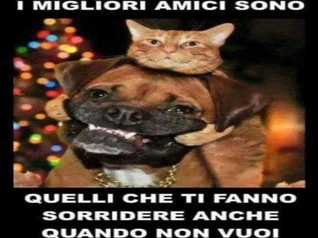 I migliori amici sono quelli che ti fanno sorridere anche quando non vuoi.