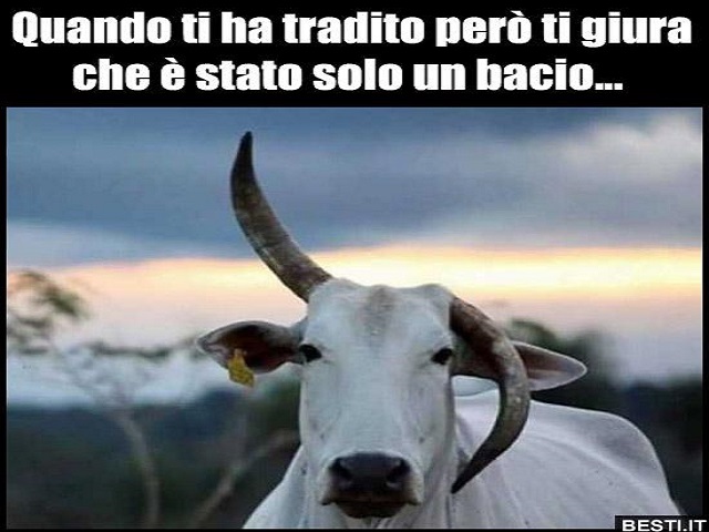 Quando ti ha tradito però ti giura che è stato solo un bacio...