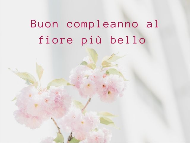 Buon compleanno al fiore più bello.