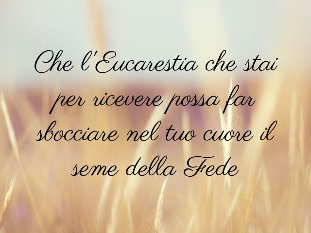 Che l'Eucarestia che stai per ricevere possa far sbocciare nel tuo cuore il seme della Fede.