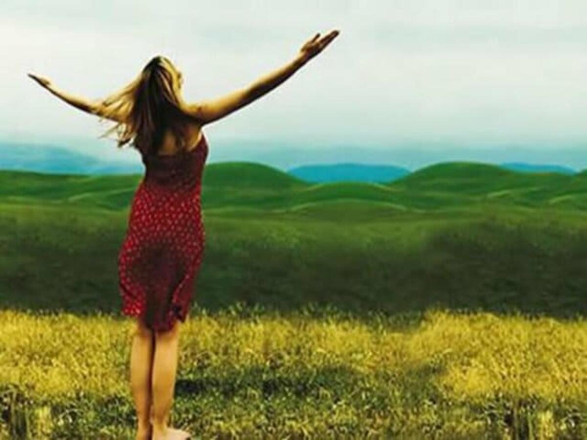 Frasi e immagini divertenti sulla vita: 82 pensieri da dedicare agli attimi più divertenti della nostra vita - 