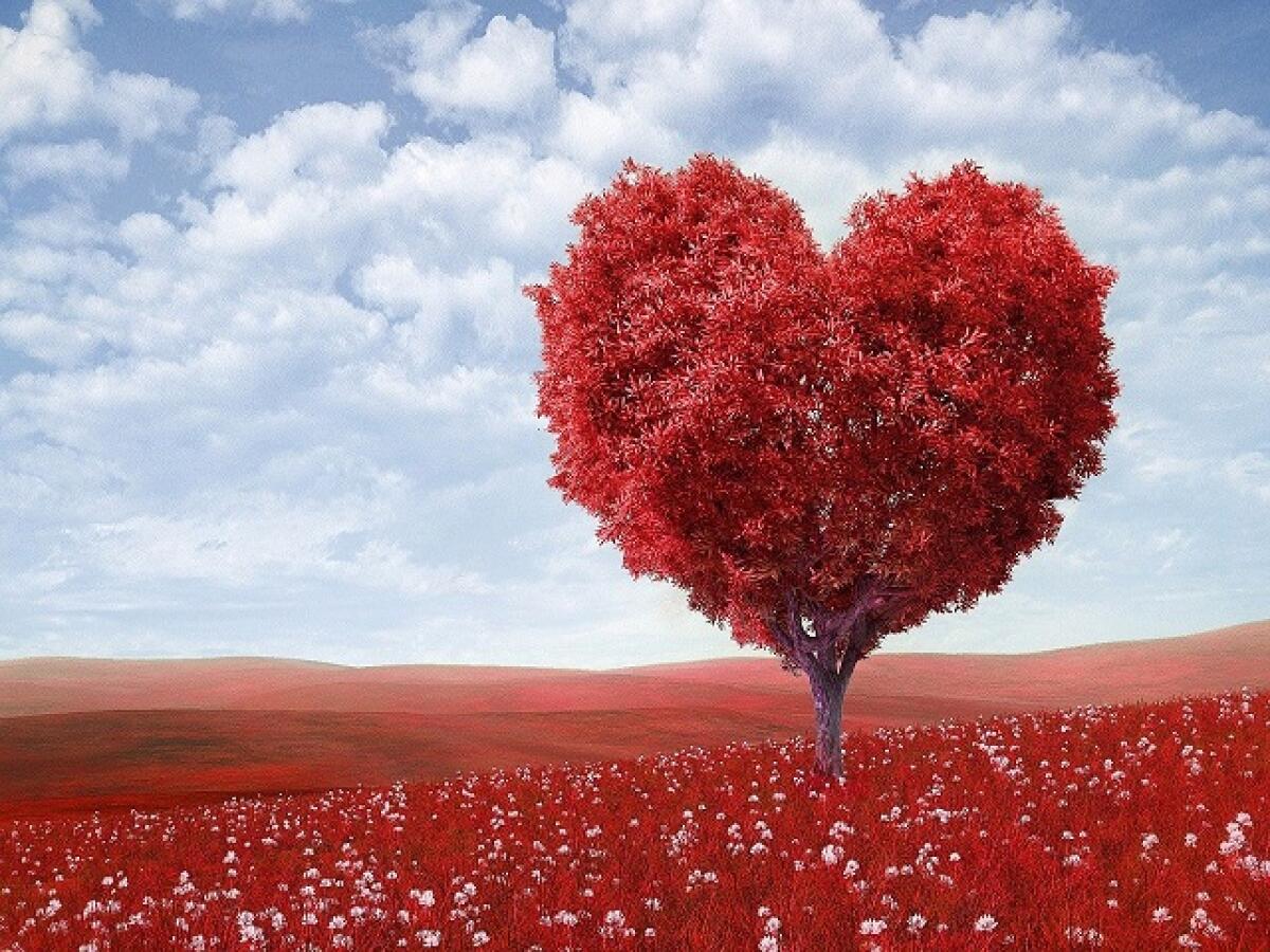 Messaggi, dediche e pensieri d'amore: 125 modi per dire ti amo - 