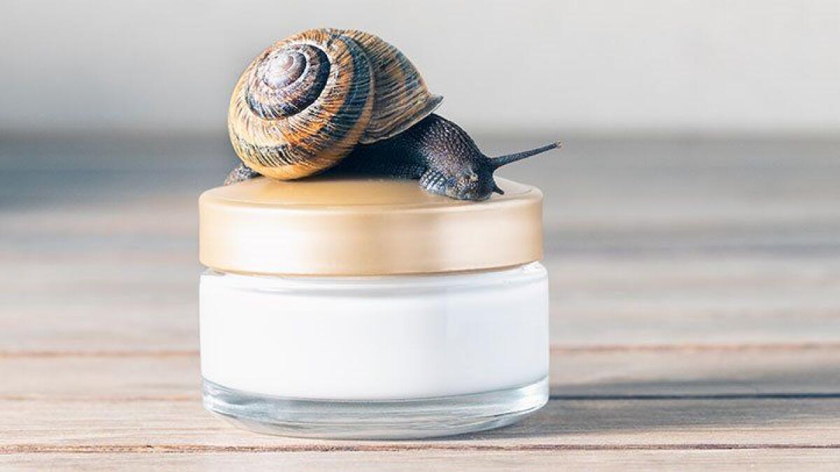 Bava di lumaca: la migliore crema anti rughe e brufoli. Benefici e proprietà - © Shutterstock