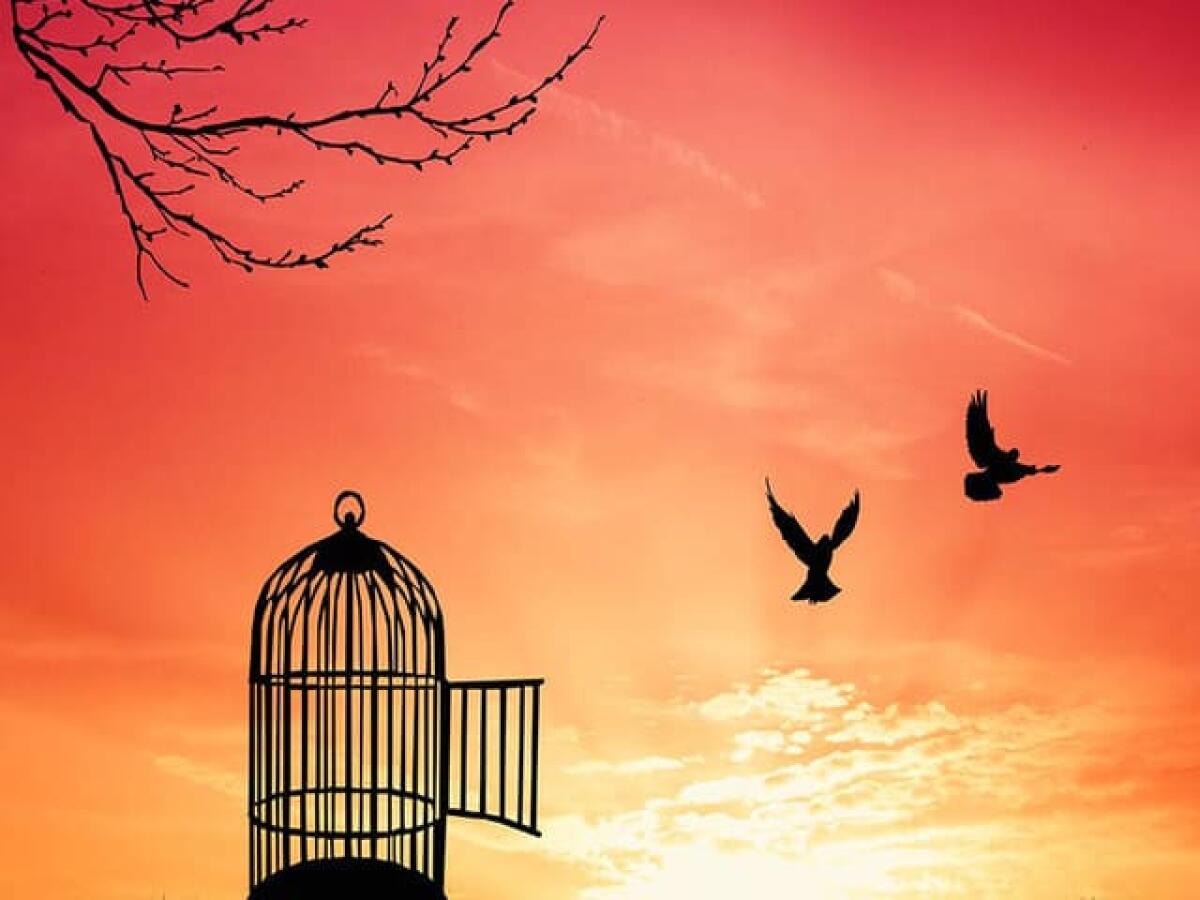 Frasi e immagini sulla libertà: 126 pensieri sul concetto della libertà - 