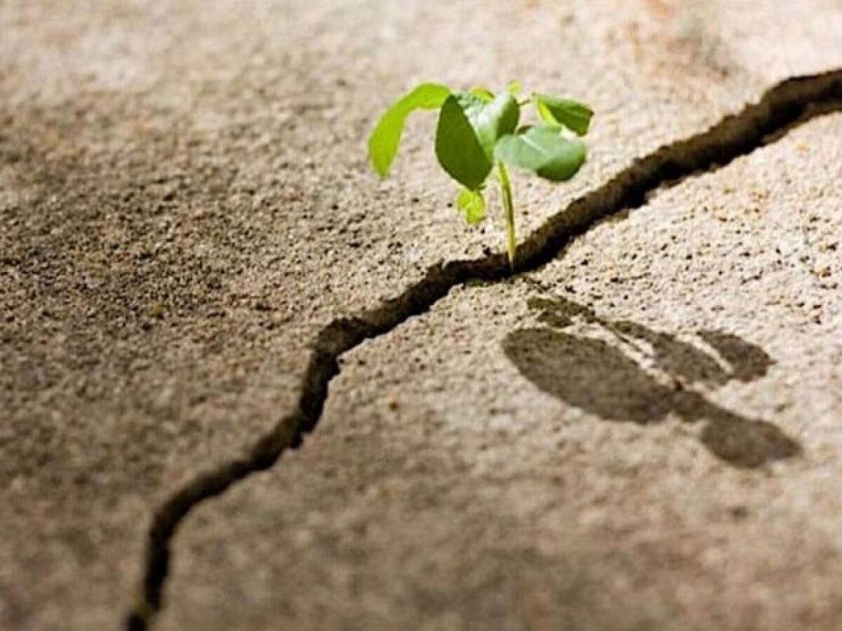 100 messaggi di speranza tra frasi, aforismi e citazioni, poesie, canzoni, video e immagini - 