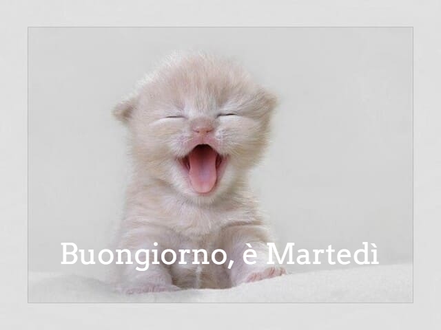 Buongiorno, è Martedì.