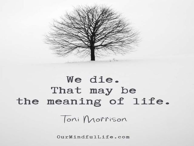 We die. That may be the meaning of life. (Moriamo. Questo potrebbe essere il senso della vita).