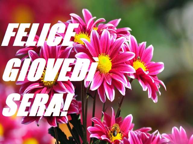 Felice giovedì sera!